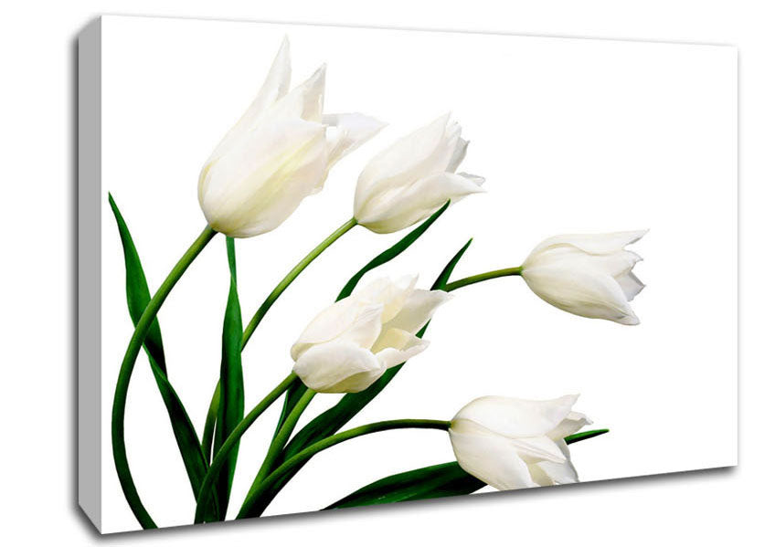 White Tulip Quad Canvas Wall Art