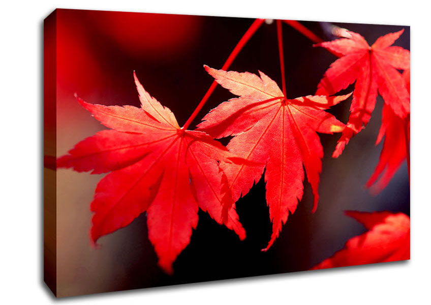 Winter Red Leaves Canvas Wall Art