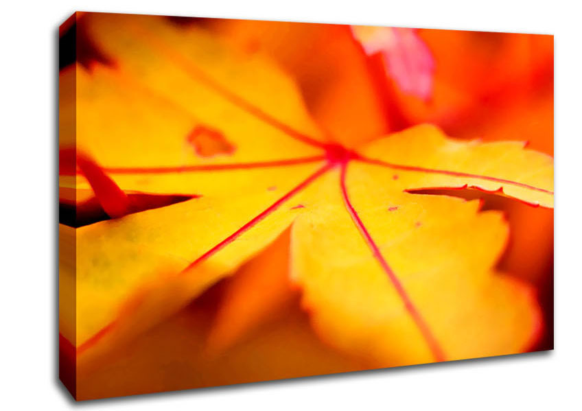 Orange Winter Leaf Canvas Wall Art