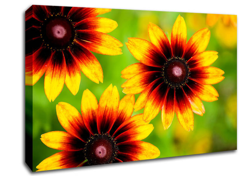 Sun Flower Garden Canvas Wall Art