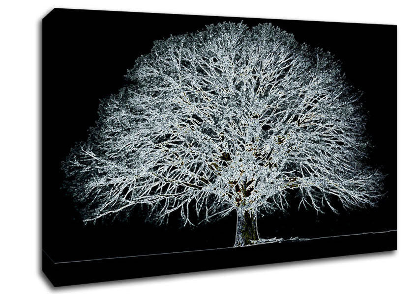 Abstarct Neon Floral 34 Canvas Wall Art