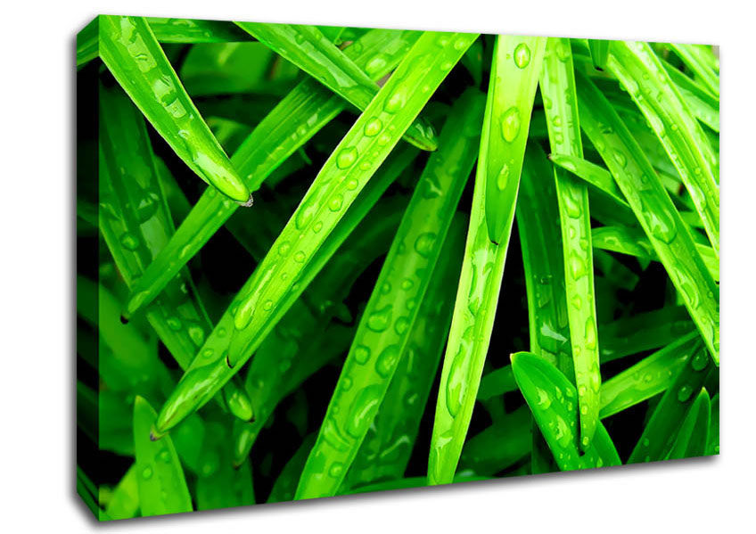 Green Leaves Canvas Wall Art
