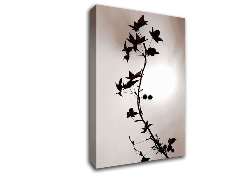 Cocoa Leaves n Berries In Sunlight Canvas Wall Art