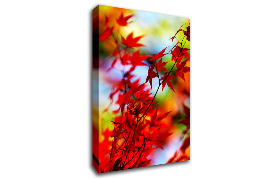 Red Autumn Leaves Canvas Wall Art