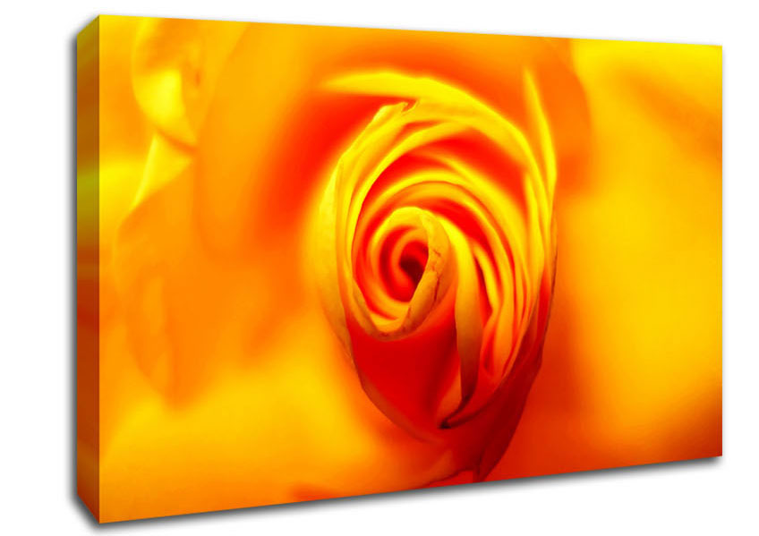 Golden Rose Centre Canvas Wall Art
