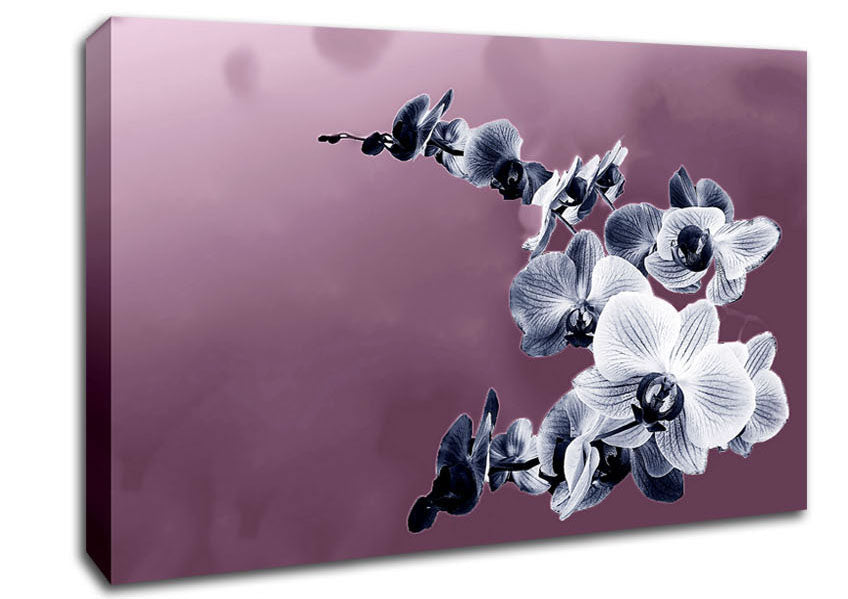 Snap Dragon Pink Canvas Wall Art