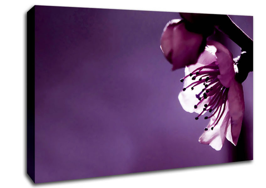 Purple Apple Blossom Canvas Wall Art