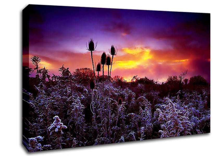 Winter Skies Canvas Wall Art