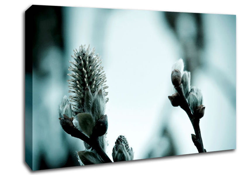 Winter Snow Flowers Canvas Wall Art