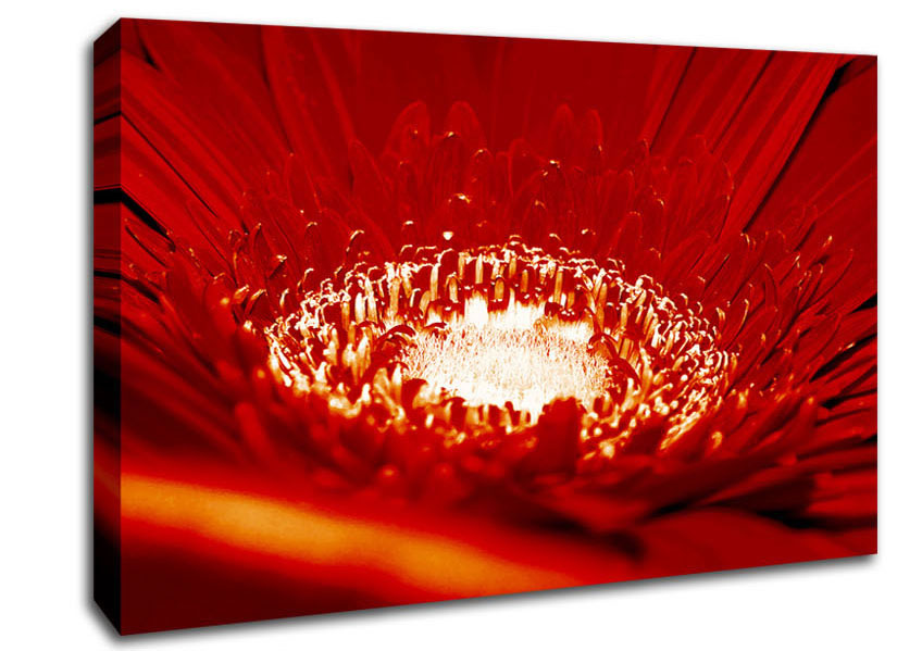 Red Centre Canvas Wall Art
