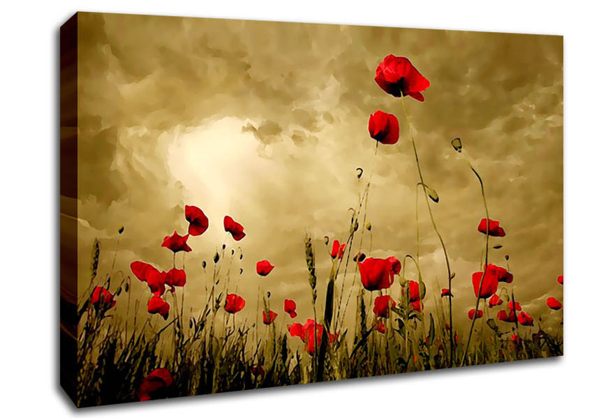 Red Poppy skies Canvas Wall Art
