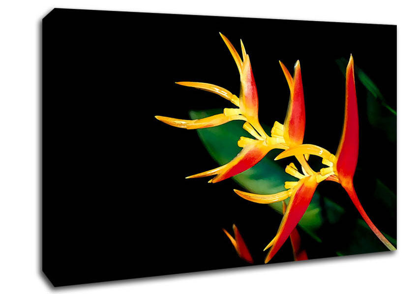 Bird Of Paradise In Sunlight Canvas Wall Art