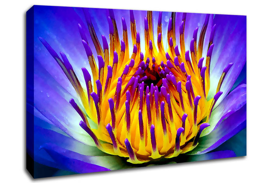 Vibrant Purple Water Lily Canvas Wall Art