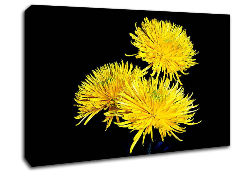 Dandelion Delight Canvas Wall Art