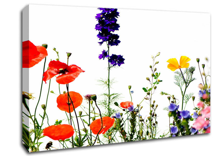 Wild Flower Garden In Bloom Canvas Wall Art