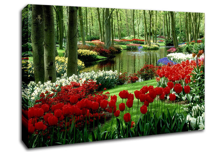Tulip River Canvas Wall Art