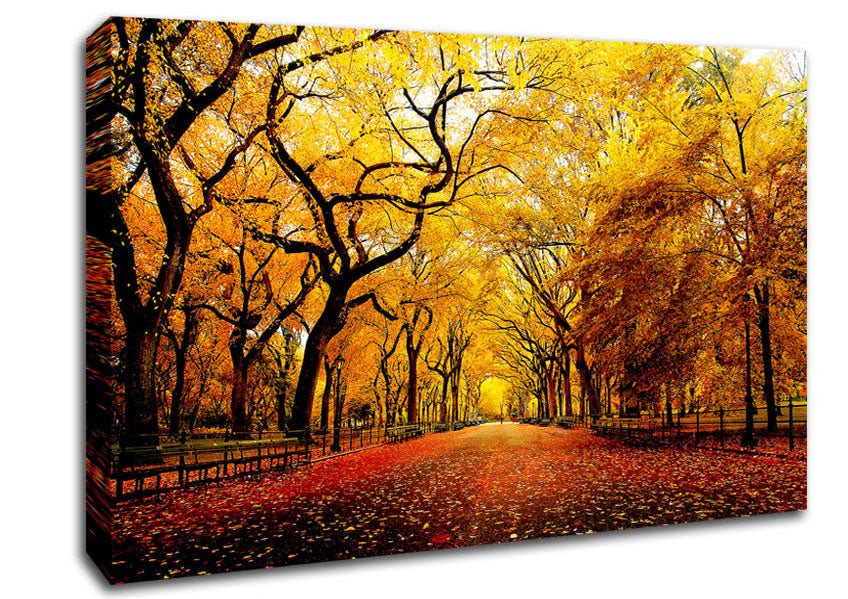 Wide Alley Canvas Wall Art