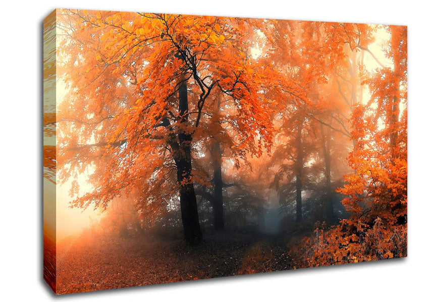 Autumn Orange Mist Canvas Wall Art
