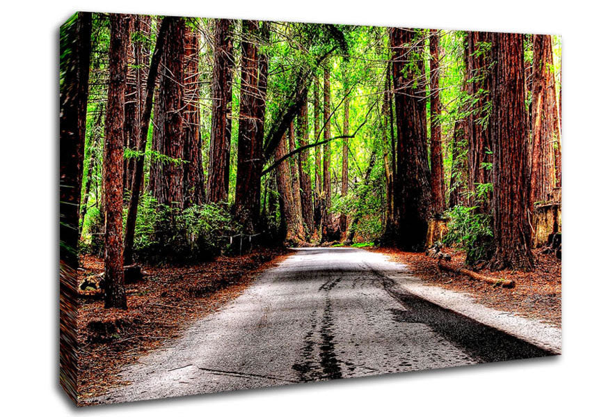 Green Forest Road Canvas Wall Art