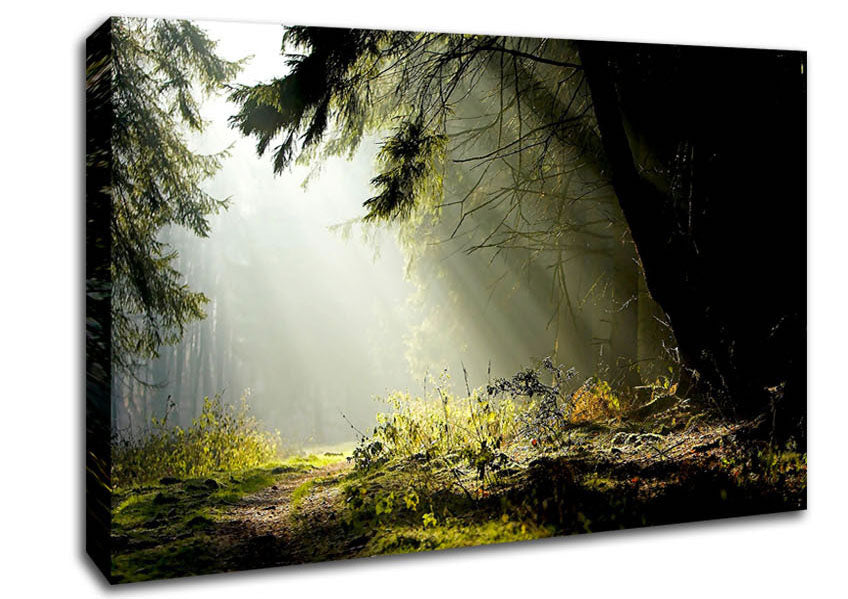 Sun Beam Through The Pass Canvas Wall Art