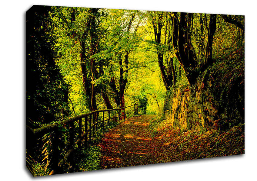 Forest Walking Path Canvas Wall Art