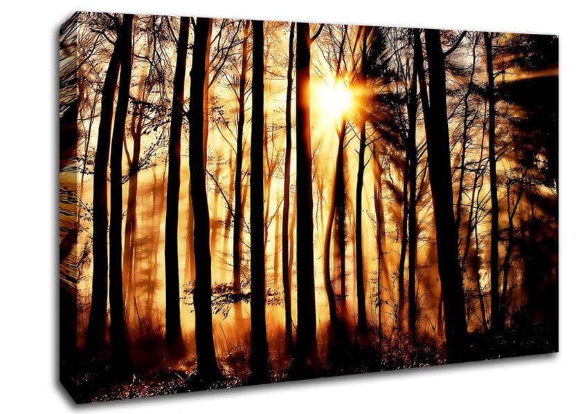 Steaming Light Rays Canvas Wall Art