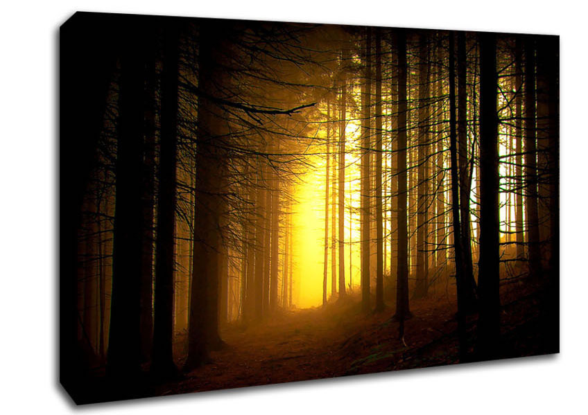 Golden Forest Light Canvas Wall Art