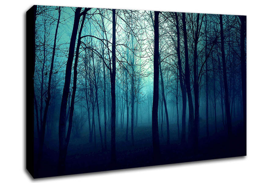 Dark Forest Canvas Wall Art