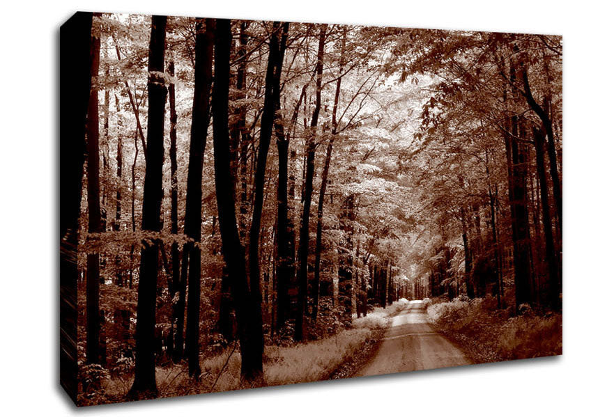 The Brown Forest Road Canvas Wall Art