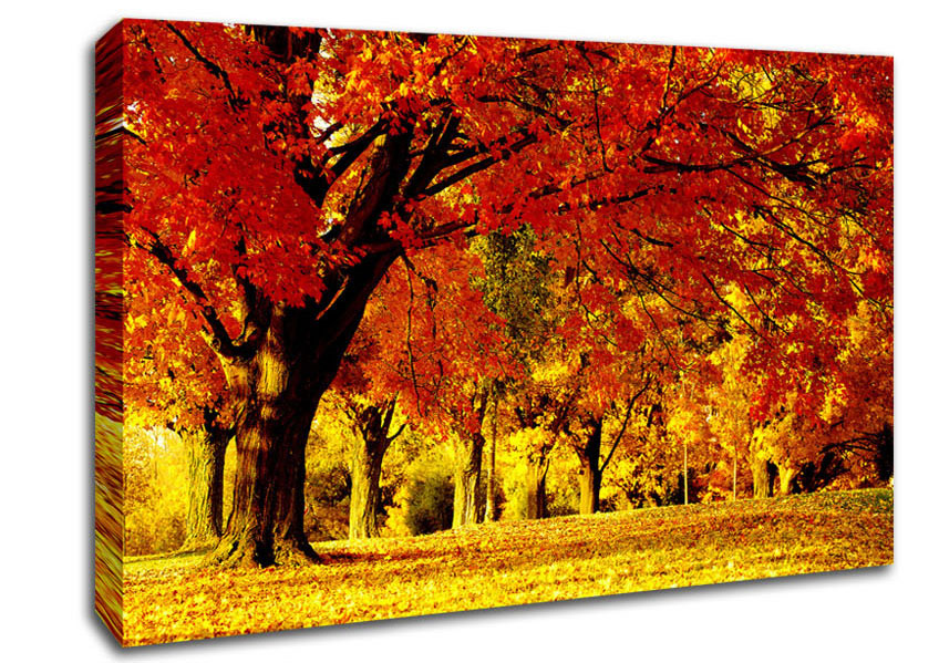 Golden Woodland Walk Canvas Wall Art