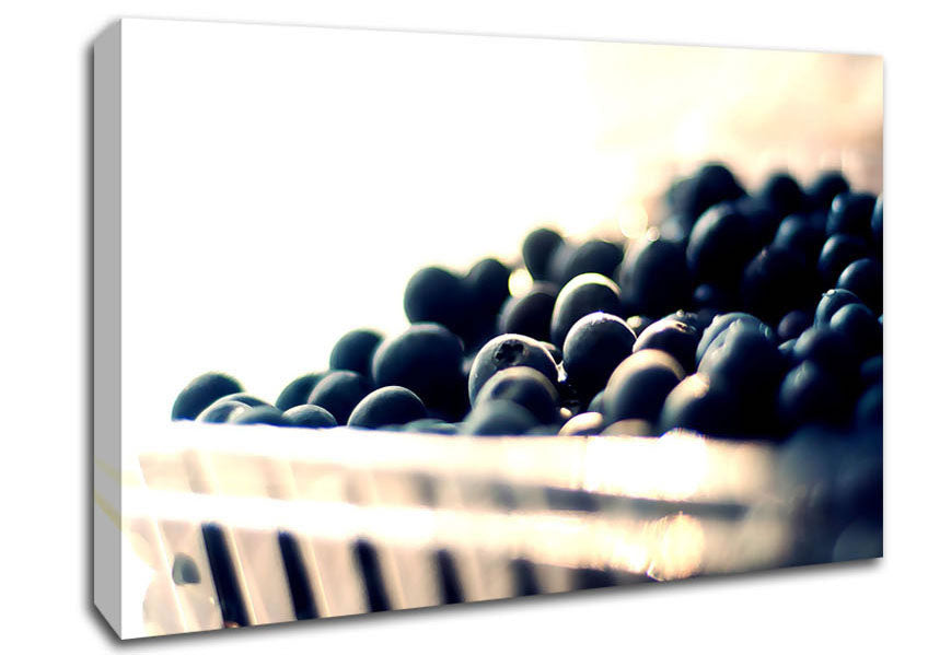 Wild Berries Canvas Wall Art