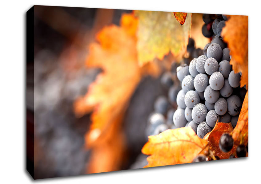 Grapes Canvas Wall Art