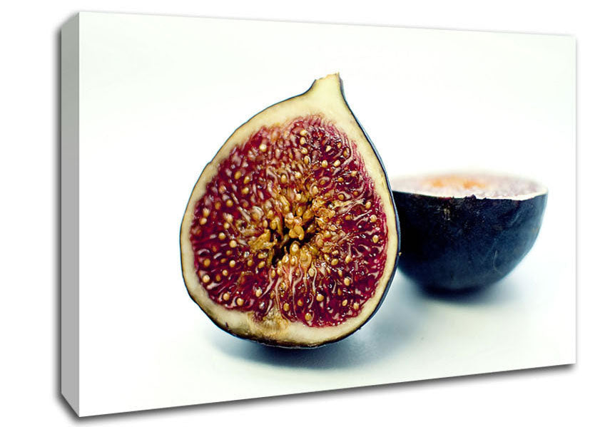 Figs Canvas Wall Art