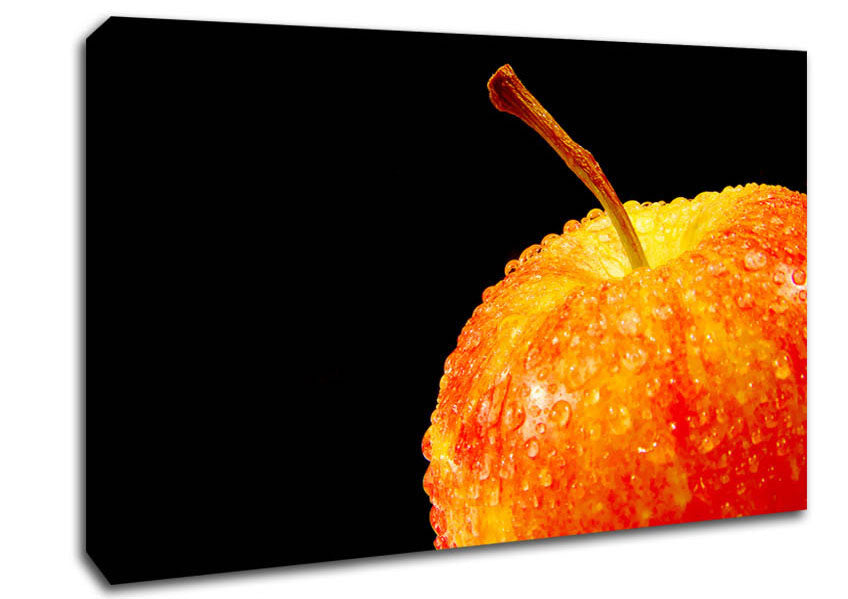 Red Delicious Apple Canvas Wall Art