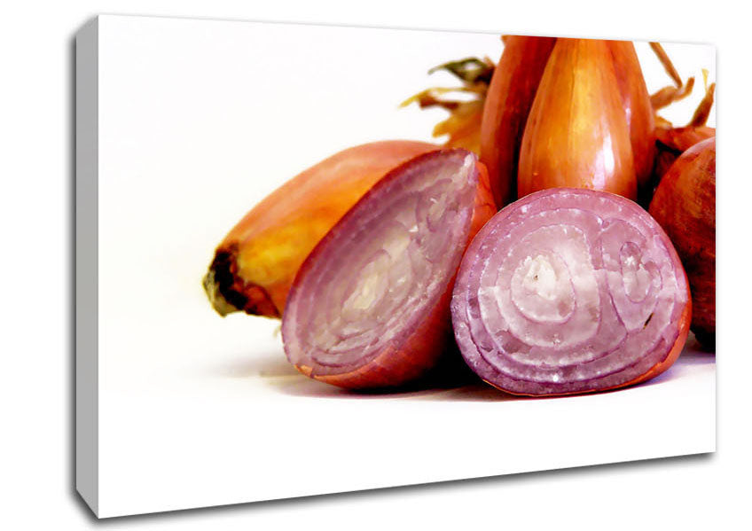 Onion Affair Canvas Wall Art