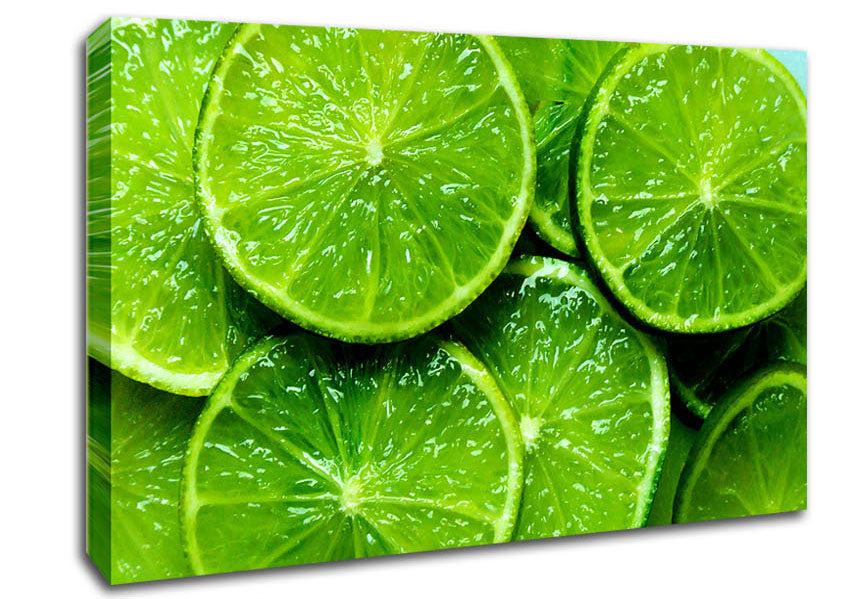 Lime Slices Canvas Wall Art