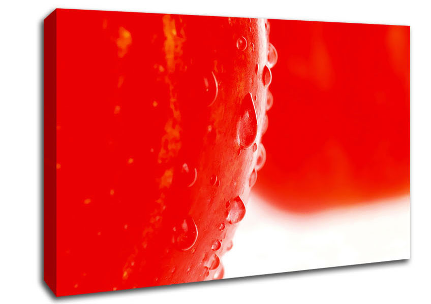 Red Apple Close-Up Canvas Wall Art