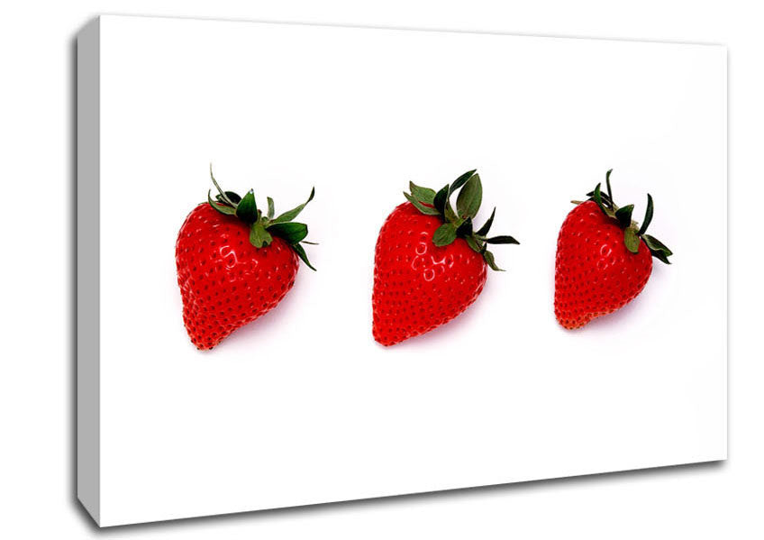 Trio Of Strawberrys Canvas Wall Art