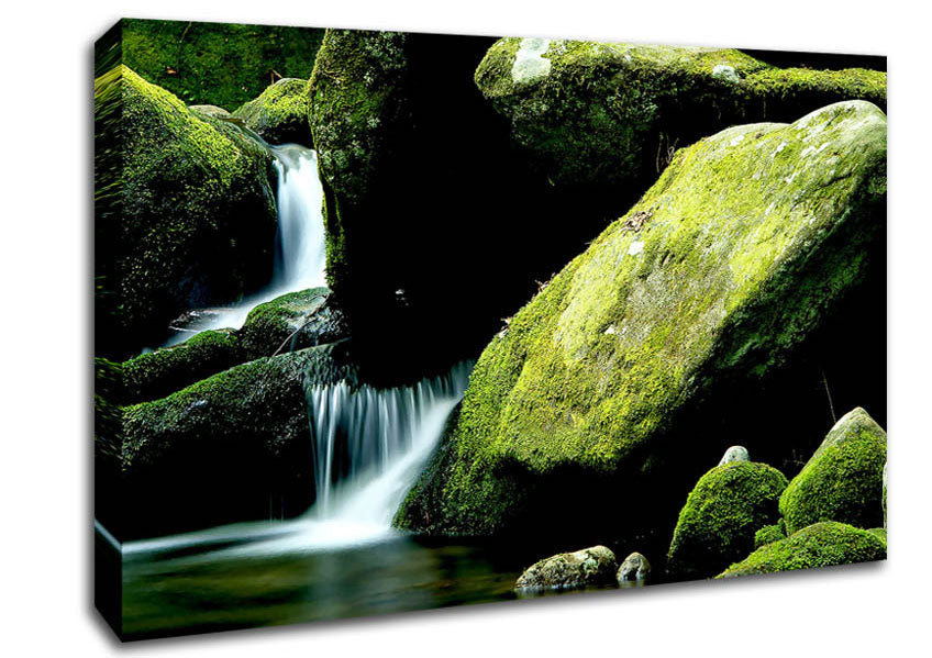 Moss Rocks Canvas Wall Art