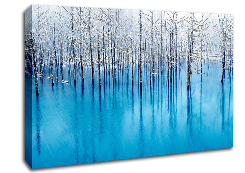 Snow Pond Canvas Wall Art