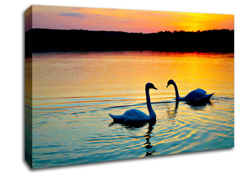 Lake Swans Canvas Wall Art