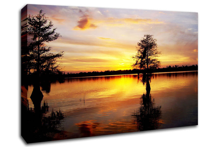 River Tree Sunset Canvas Wall Art