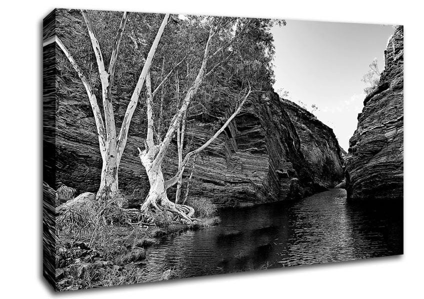 B n W Valley Still Waters Canvas Wall Art