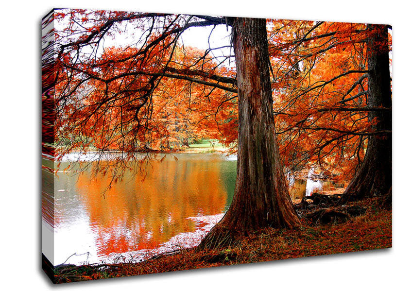 Orange Winter Lake Reflections Canvas Wall Art