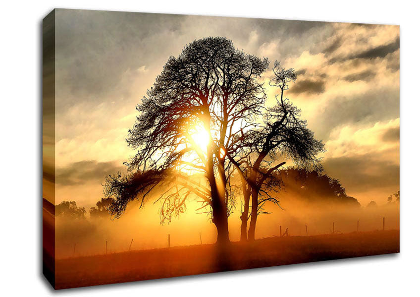 Fog Across The Field Canvas Wall Art