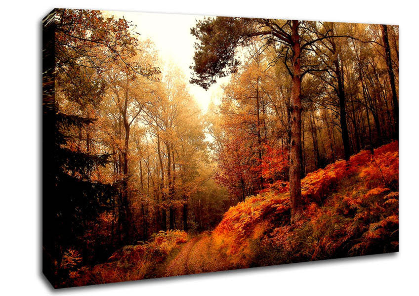 Mountain Path Canvas Wall Art