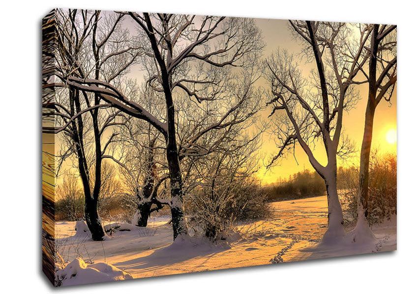 Footsteps In Snow Canvas Wall Art