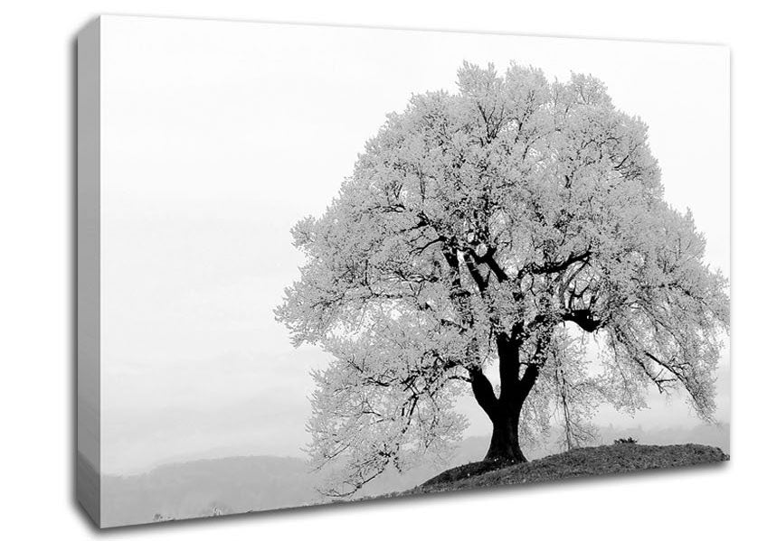 Blossomed Tree Canvas Wall Art