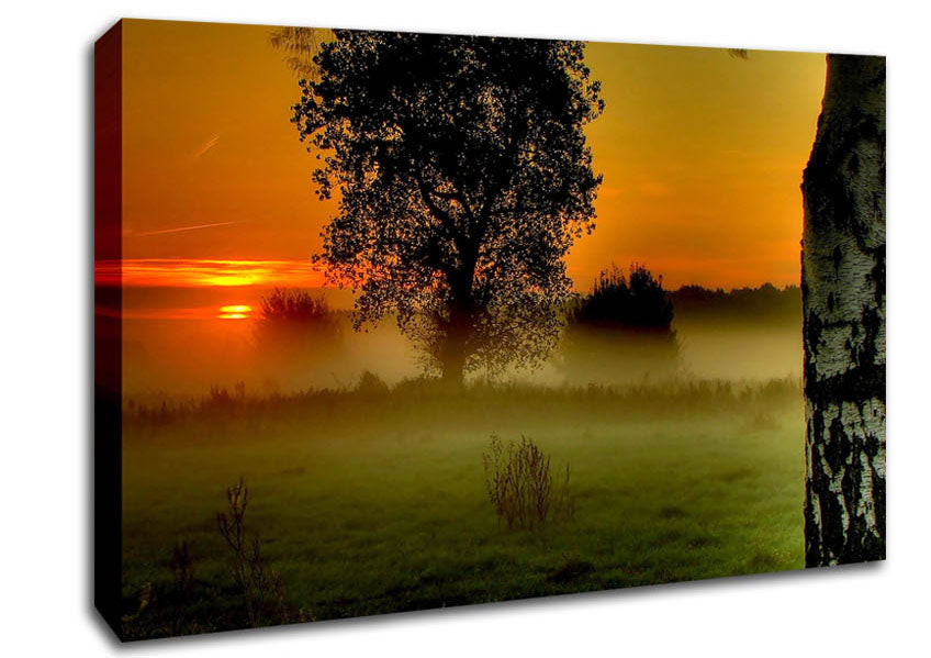 Morning Moment Canvas Wall Art