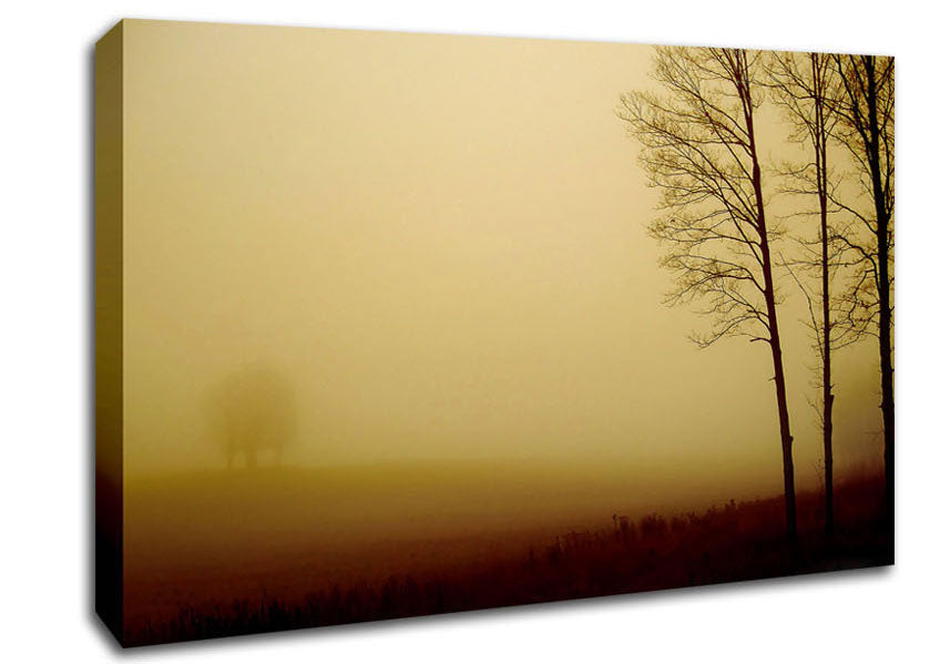 Naked Trees Canvas Wall Art